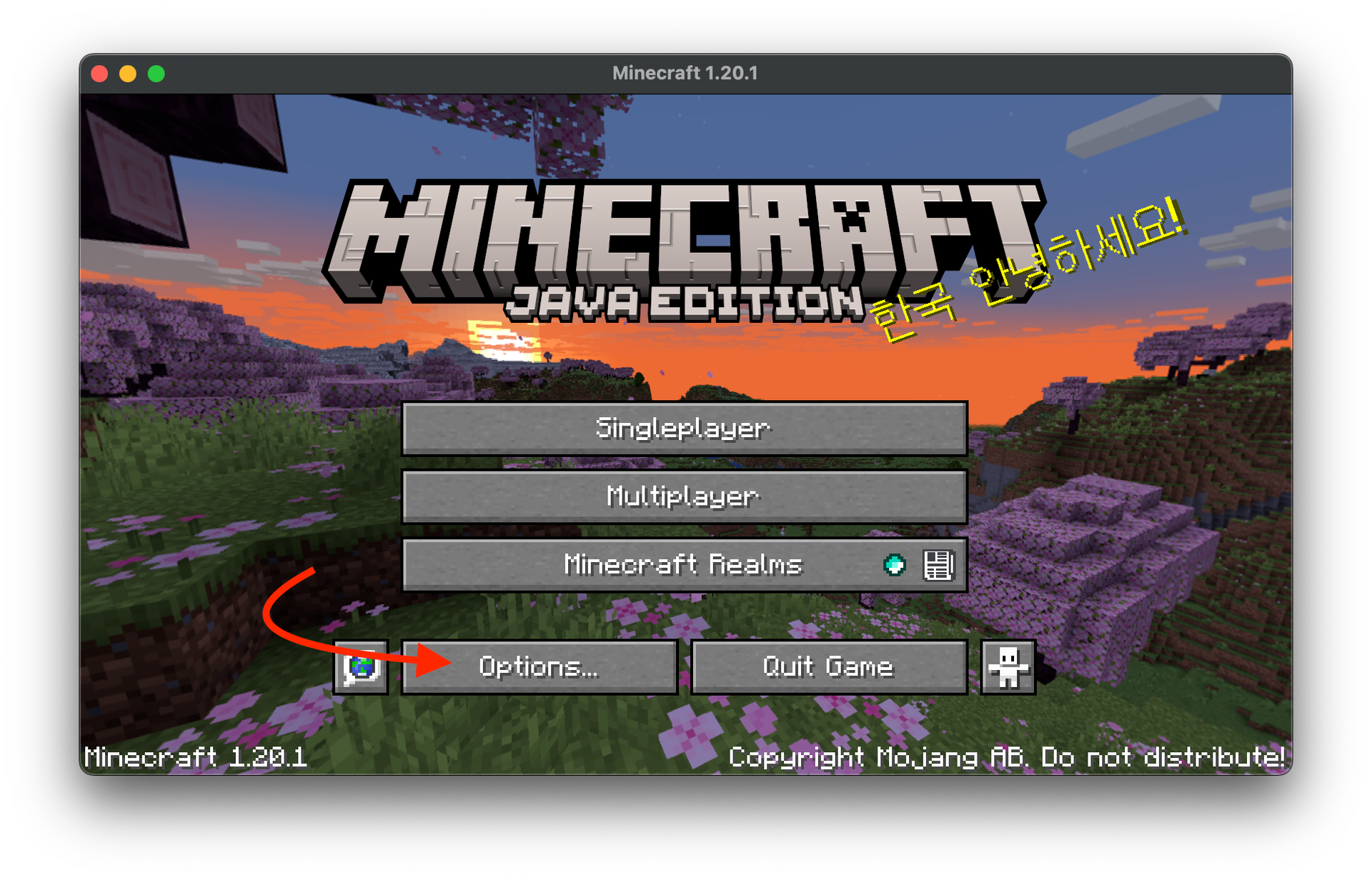 Minecraft Options Button